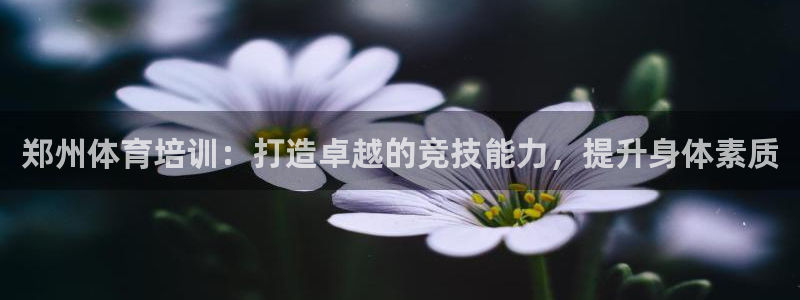 焦点娱乐官方网站下载安装苹果：郑州体育培训：打造卓越