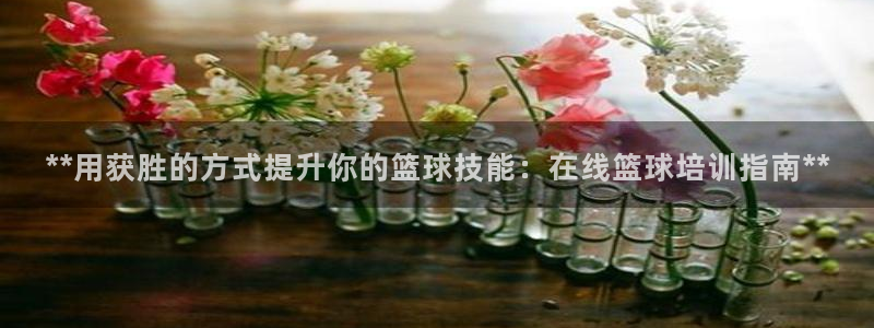 焦点娱乐公司官网：**用获胜的方式提升你的篮球技能：