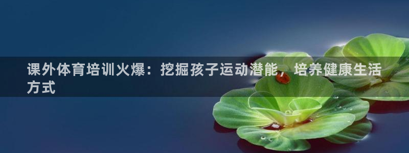 焦点娱乐怎么找客服：课外体育培训火爆：挖掘孩子运动潜