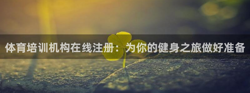 焦点娱乐挂机版下载：体育培训机构在线注册：为你的健身