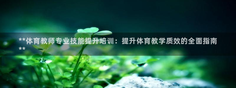 焦点娱乐平台注册账号是什么意思：**体育教师专业技能