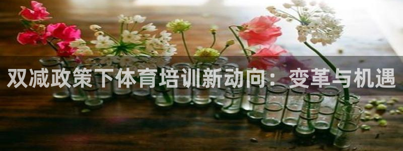 焦点娱乐app下载官网苹果：双减政策下体育培训新动向：变革与