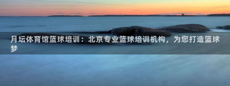 焦点娱乐总代理在哪：月坛体育馆篮球培训：北京专业篮球