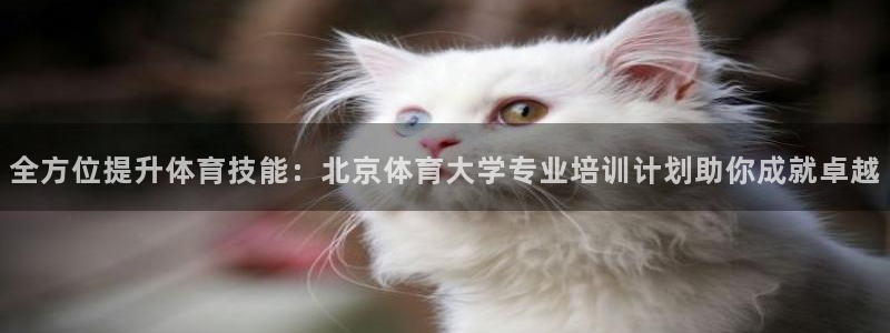 焦点娱乐有限公司怎么样：全方位提升体育技能：北京体育