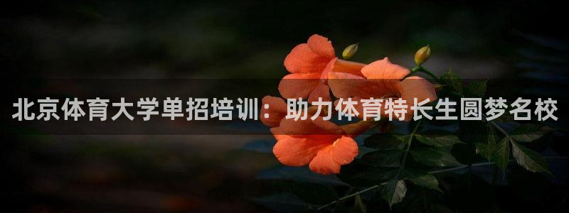焦点娱乐平台注册账号安全吗可靠吗：北京体育大学单招培
