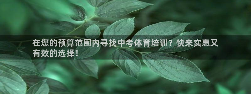 焦点娱乐平台注册账号怎么注销不了：在您的预算范围内寻