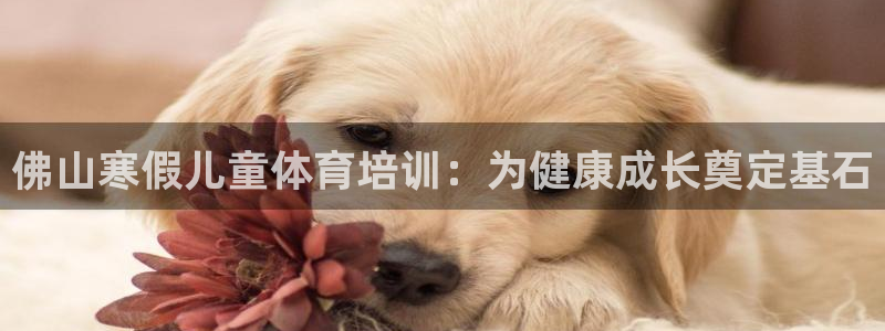 焦点娱乐app下载苹果版官网：佛山寒假儿童体育培训：