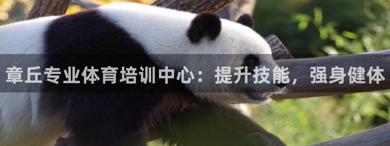 焦点娱乐app下载安装方式最新：章丘专业体育培训中心