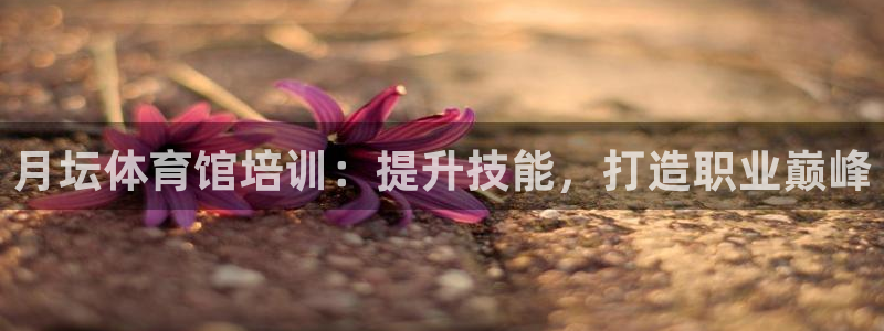 焦点娱乐游戏攻略视频