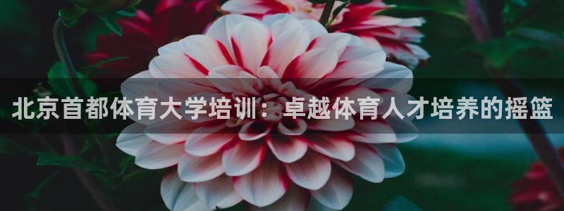 焦点娱乐是黑平台吗是真的吗：北京首都体育大学培训：卓