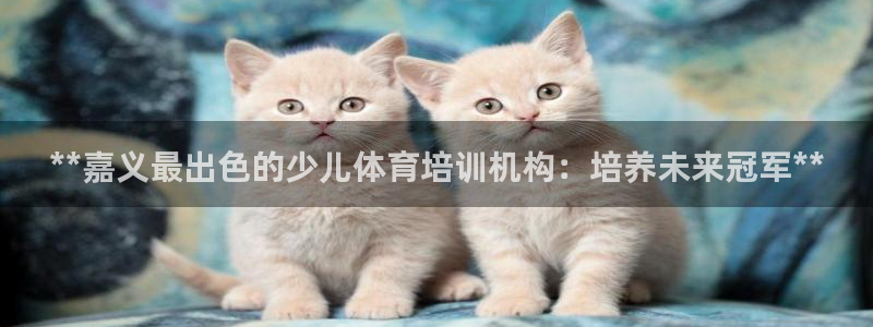 焦点娱乐官网首页入口下载：**嘉义最出色的少儿体育培