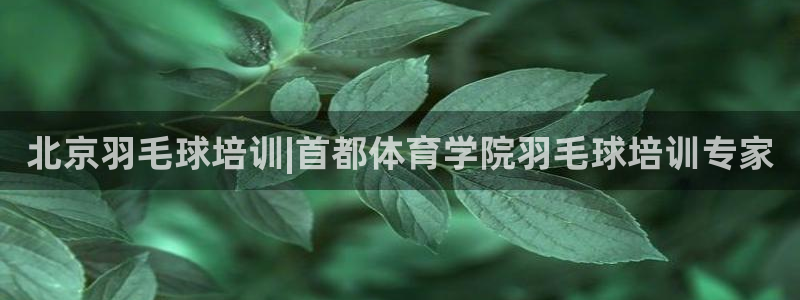 焦点娱乐平台注册账号安全吗：北京羽毛球培训|首都体育