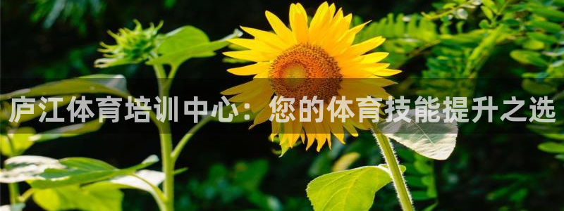 焦点娱乐股东：庐江体育培训中心：您的体育技能提升之选