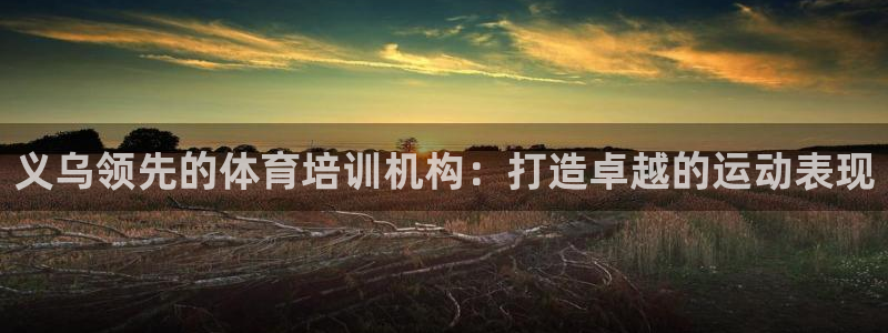 焦点娱乐平台登录不了怎么办：义乌领先的体育培训机构：
