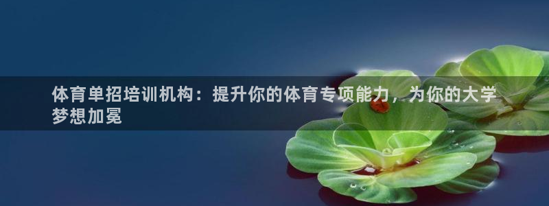 焦点娱乐有限公司电话：体育单招培训机构：提升你的体育
