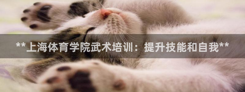 焦点娱乐ktv：**上海体育学院武术培训：提升技能和