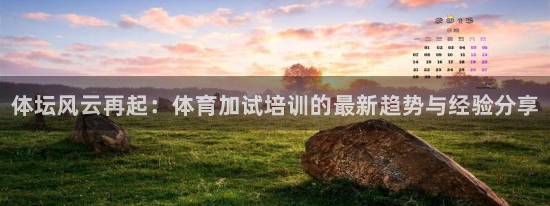 焦点娱乐公司简介资料