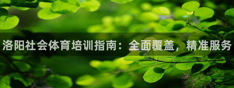 焦点娱乐app下载安装苹果：洛阳社会体育培训指南：全