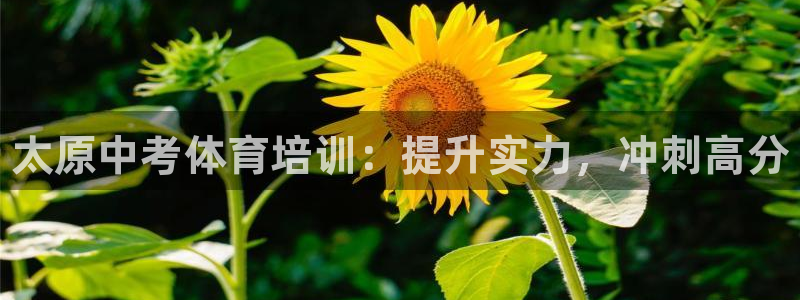 焦点娱乐官方网站入口：太原中考体育培训：提升实力，冲刺高分