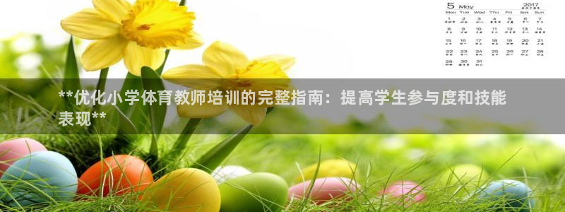 焦点娱乐是什么软件：**优化小学体育教师培训的完整指南：提高