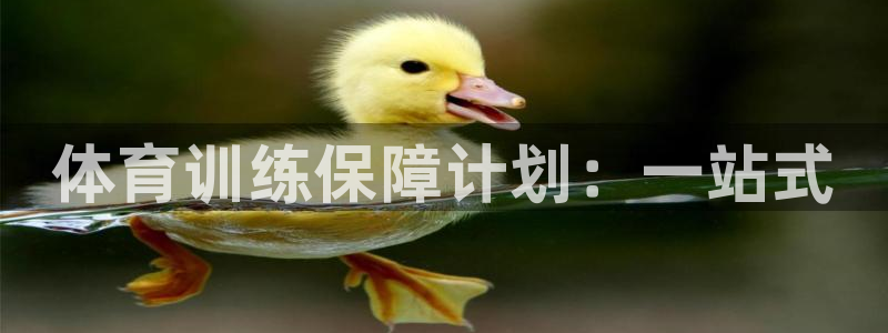 焦点娱乐是拉菲公司的吗是真的吗