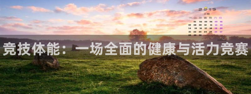 焦点娱乐平台业7O777：竞技体能：一场全面的健康与活力竞赛