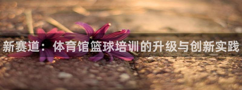 焦点娱乐如何注册账号登录：新赛道：体育馆篮球培训的升