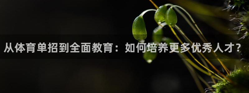 焦点娱乐加速器下载：从体育单招到全面教育：如何培养更