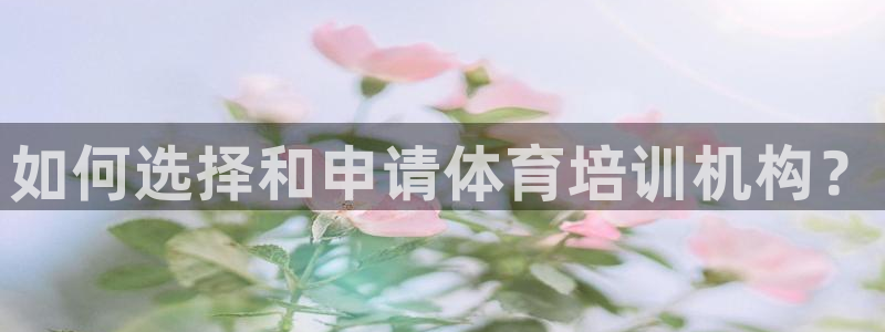 焦点娱乐平台注册账号是什么：如何选择和申请体育培训机