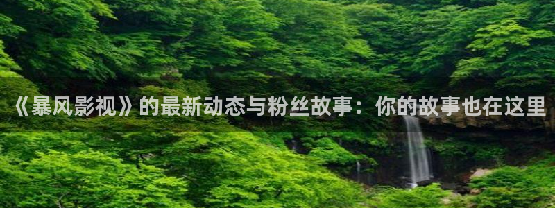 黑蚂蚁影视剧大全