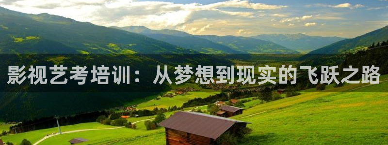 黑蚂蚁影视剧大全