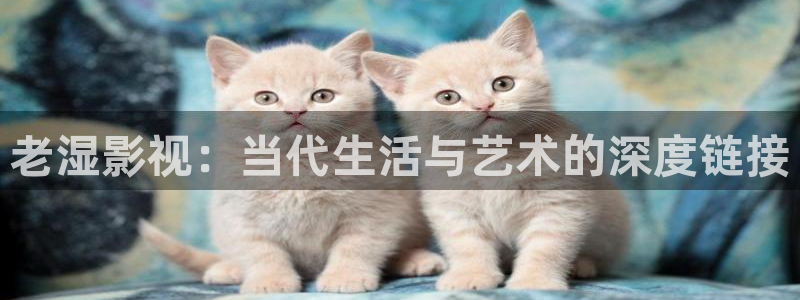 黑蚂蚁影视最新电影