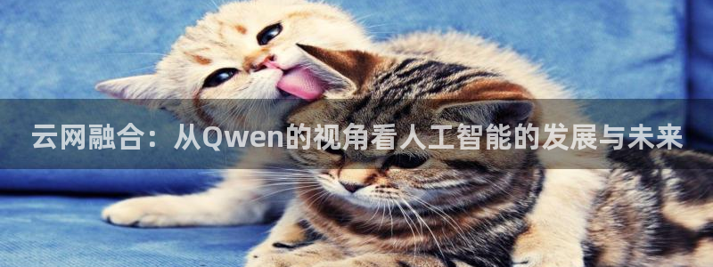 黑蚂蚁影视影院