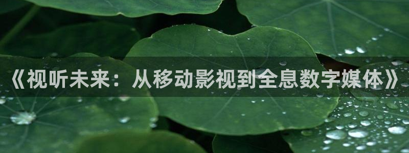 黑蚂蚁影视公司