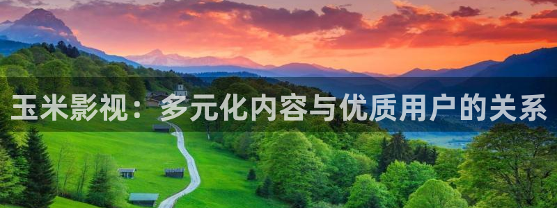 黑蚂蚁影视电视