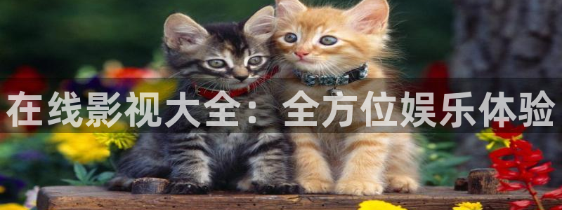 黑蚂蚁影视剧大全