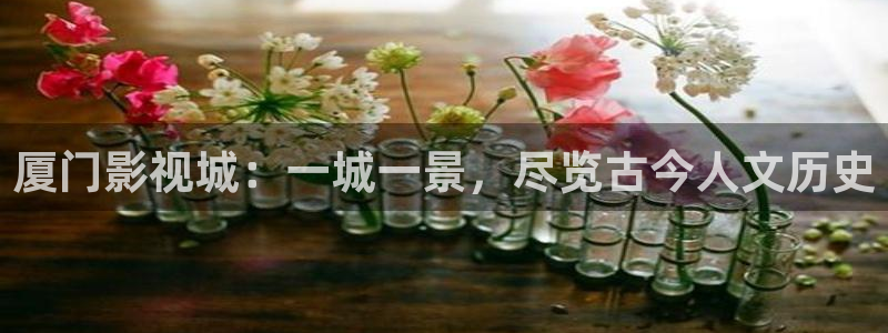 黑蚂蚁影视电视