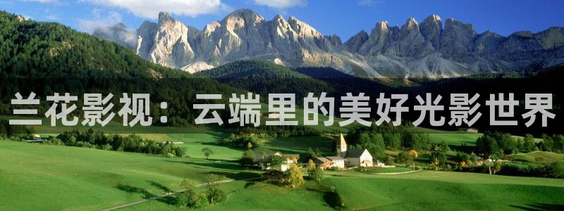 黑蚂蚁影视电视剧大全网站