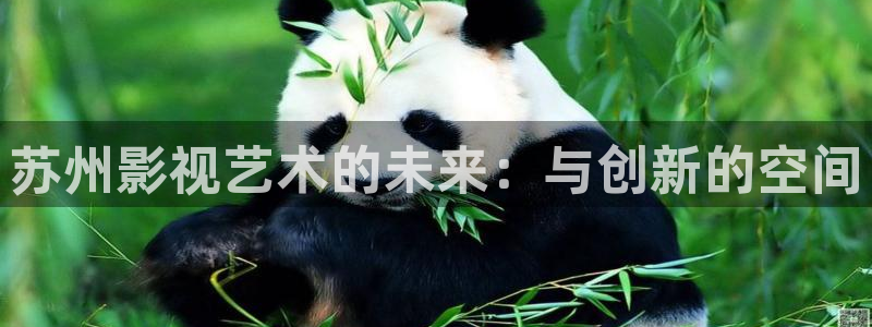 黑蚂蚁影视电视剧大全网站