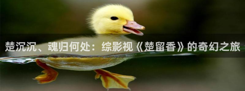 黑蚂蚁影视剧大全