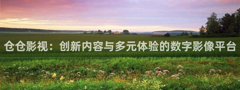 黑蚂蚁影视