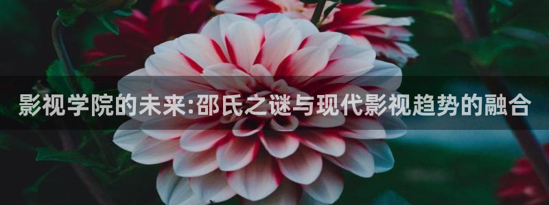 黑蚂蚁影视影院